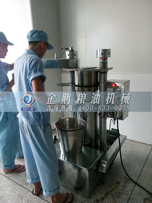 香油榨油機